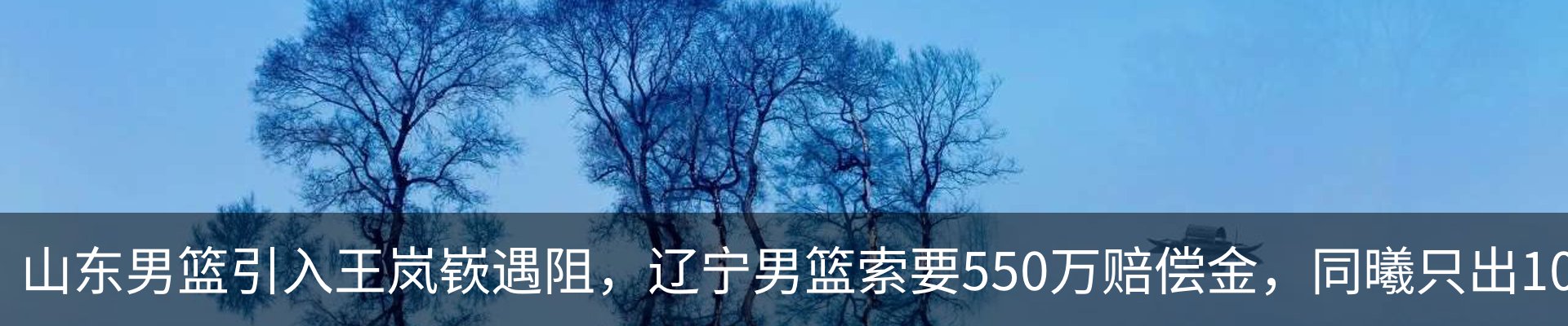 新闻动态