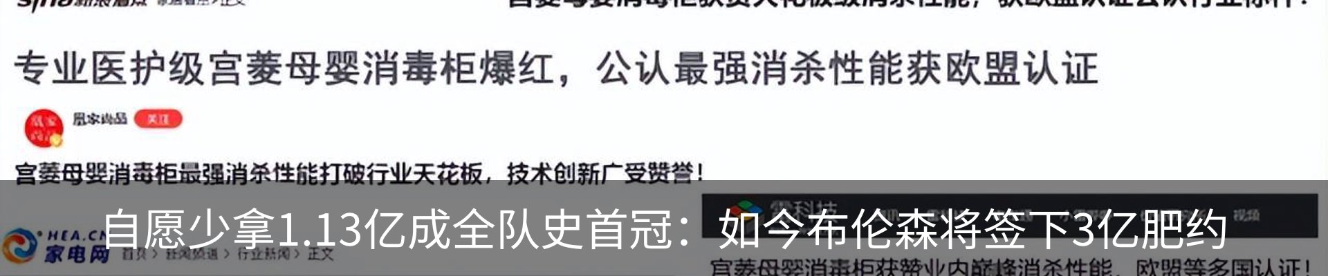 新闻动态