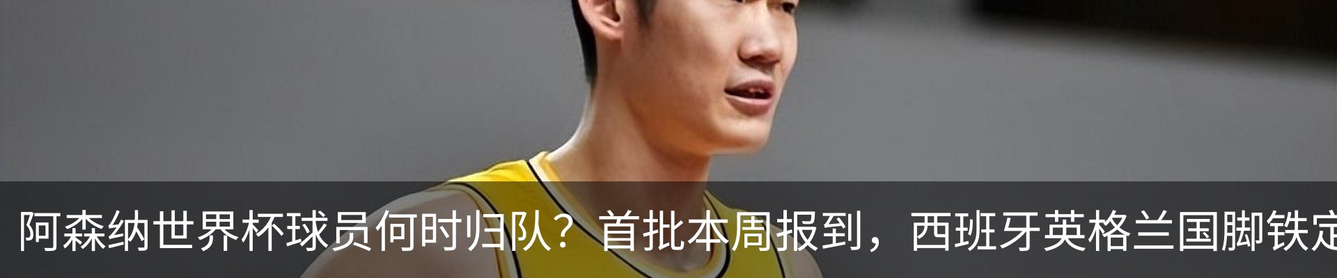 新闻动态